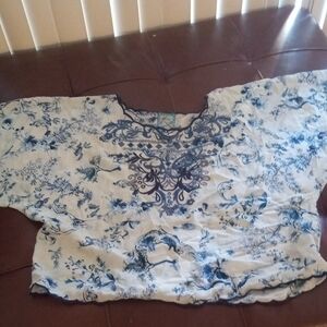 Chic Blue and White Blouse johnny was